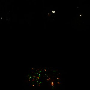 DSC00917.JPG