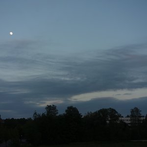 DSC09055.JPG