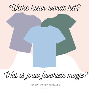 Pink Best Seller T-Shirt Promotion Instagram Post.png