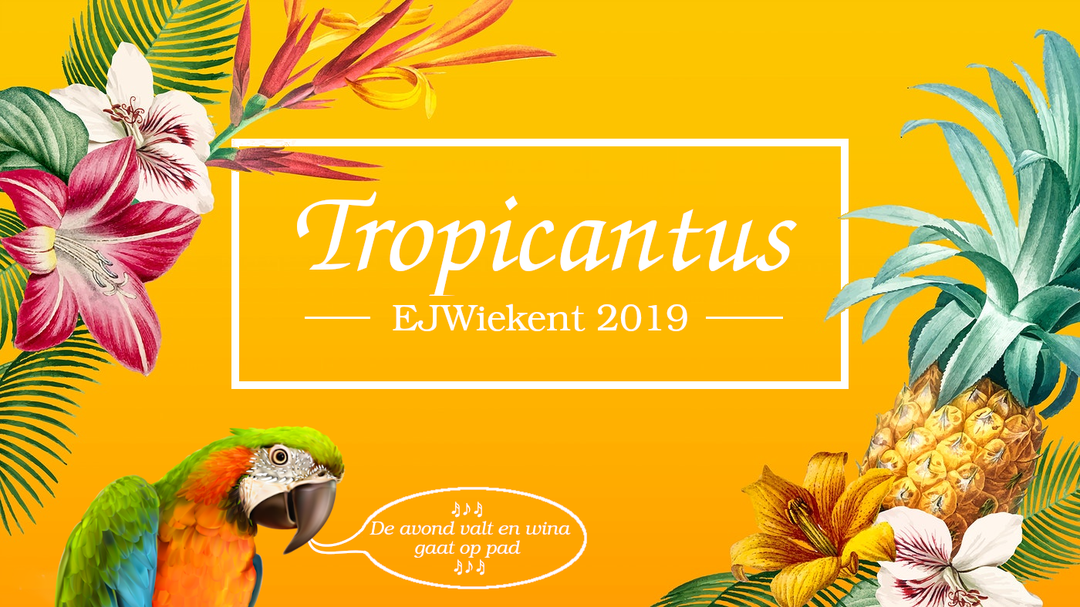 Tropicantus banner.png