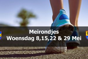 meirondjes.jpg